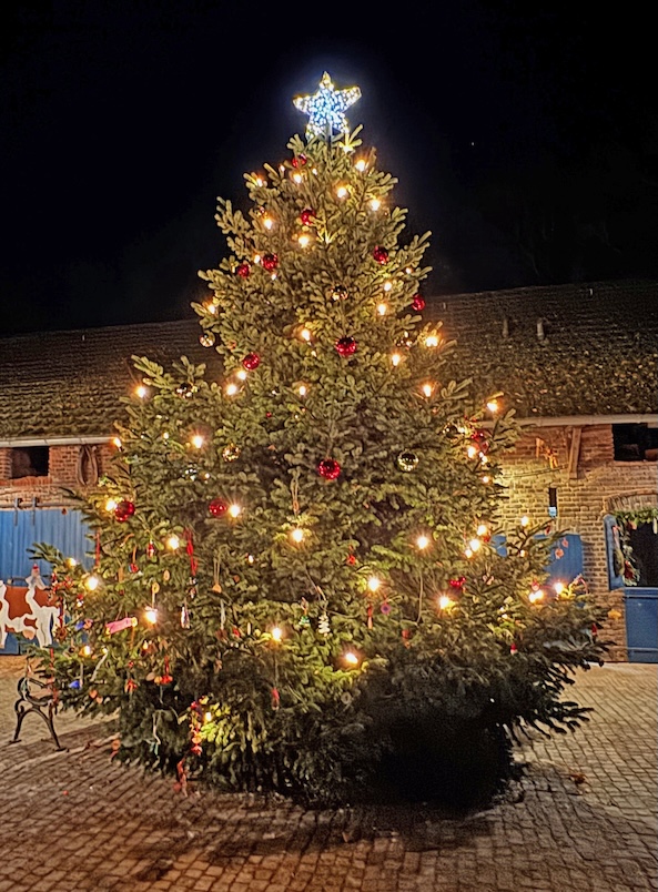 Weihnachtsbaumschmücken 2025 00059_2